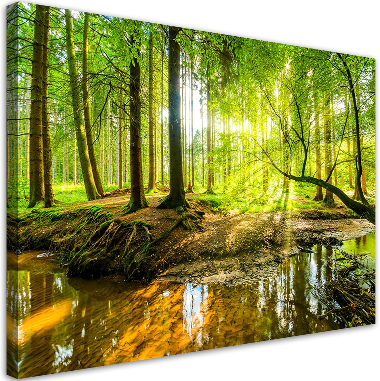 Feeby Impression sur Toile Intissé Forêt Nature Arbres 90x60 cm Image décoration Murale Design Chambre d'enfant Rayons du soleil Racines Ruisseau vert