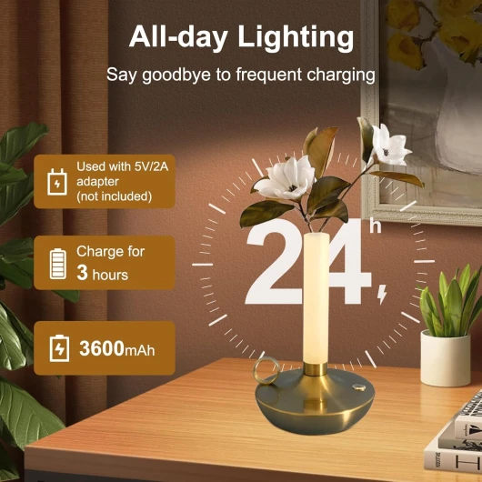 71RNTv8hf7L._AC_SL1500_