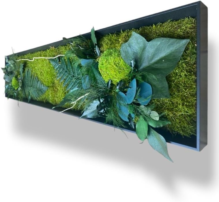 Tableau Végétal Stabilisé " Tulum" XL 100 x 33 cm – Décoration Murale Naturelle - Plantes Stabilisées Sans Entretien - Fabriqué en France