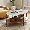 Table Basse Pierre, Table Basse Ovale 2 Niveaux, Cadre en Métal, Design Compact, 105 x 65 x 43 cm