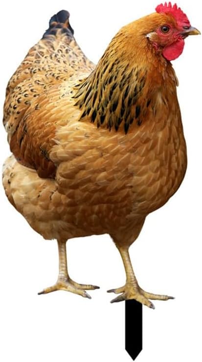 Sculpture de volaille de jardin, statue de poule de jardin en acrylique, piquet de jardin artistique, sculpture de pour décoration extérieure, décoration de ferme (17,4 + 15,20 cm) 17.4+15.20cm