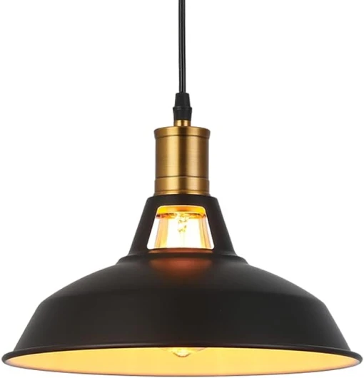 MAXDUYU Métal Retro Suspensions Luminaires Industriel Edison Simplicité Lustre Vintage Plafonnier Suspension E27 Salon avec Abat-jour Brillant en Métal Style Nordique,Câble Réglable, Ø 22cm,Noir