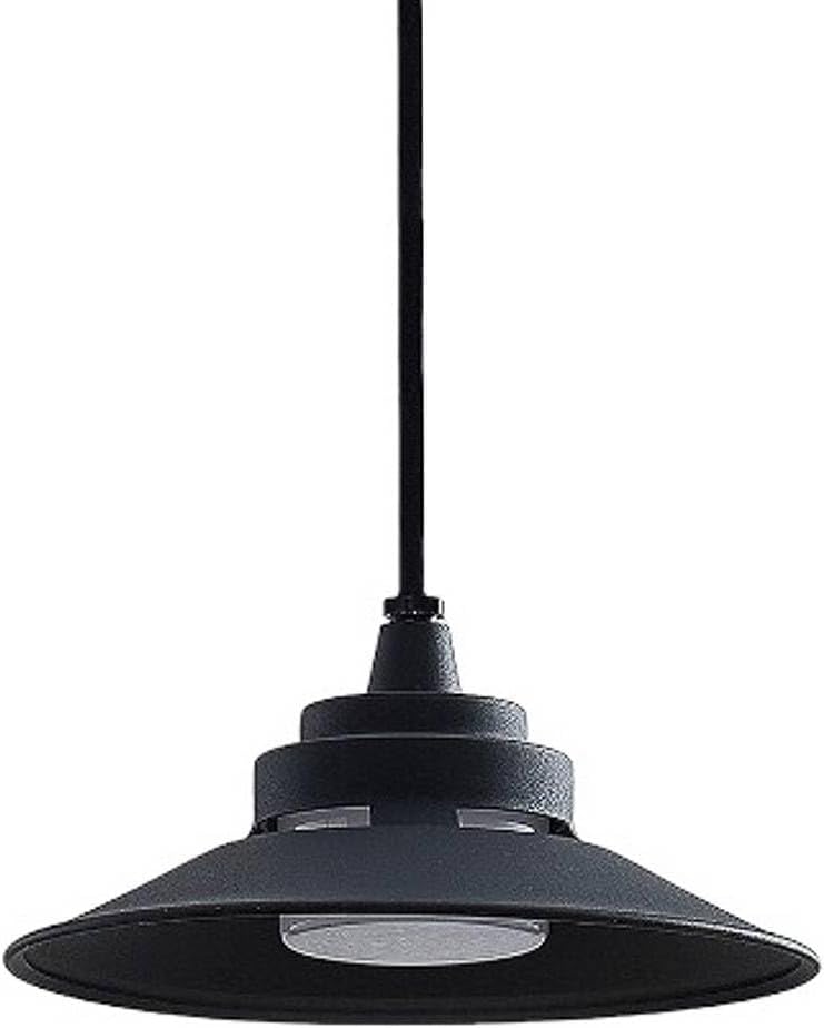 LED Luminaire extérieur Cassia (Moderne) en Noir Aluminium (1 lampe,à), Suspension