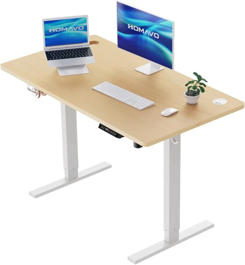 HOMAVO Bureau Assis Debout Électrique 120x60cm, Réglable en Hauteur (70-119CM) avec Fonction Mémoire et Anti-Collision, Ports de Charge Rapide USB-A et Type C 60 x 120 cm Naturel