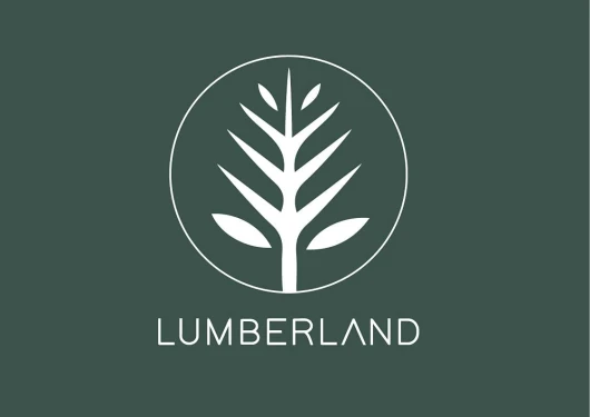 41qB1Y5jQWS._AC_SL1123_