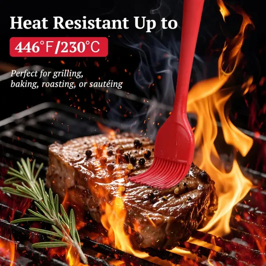 816Cvr4JAZL._AC_SL1500_