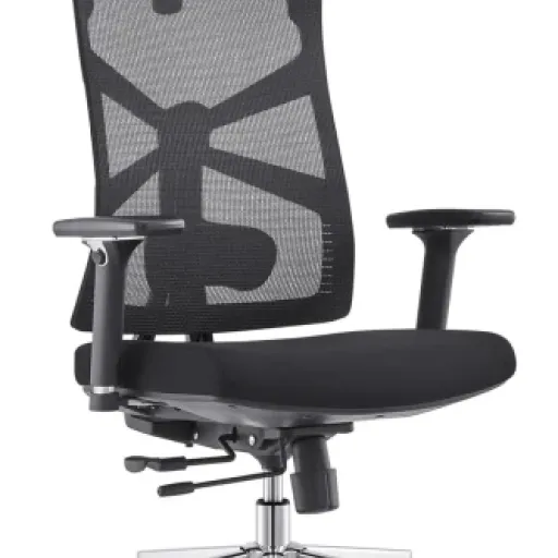 Test HOLLUDLE Chaise de Bureau Ergonomique : une vraie chaise “full réglages” sans exploser le budget