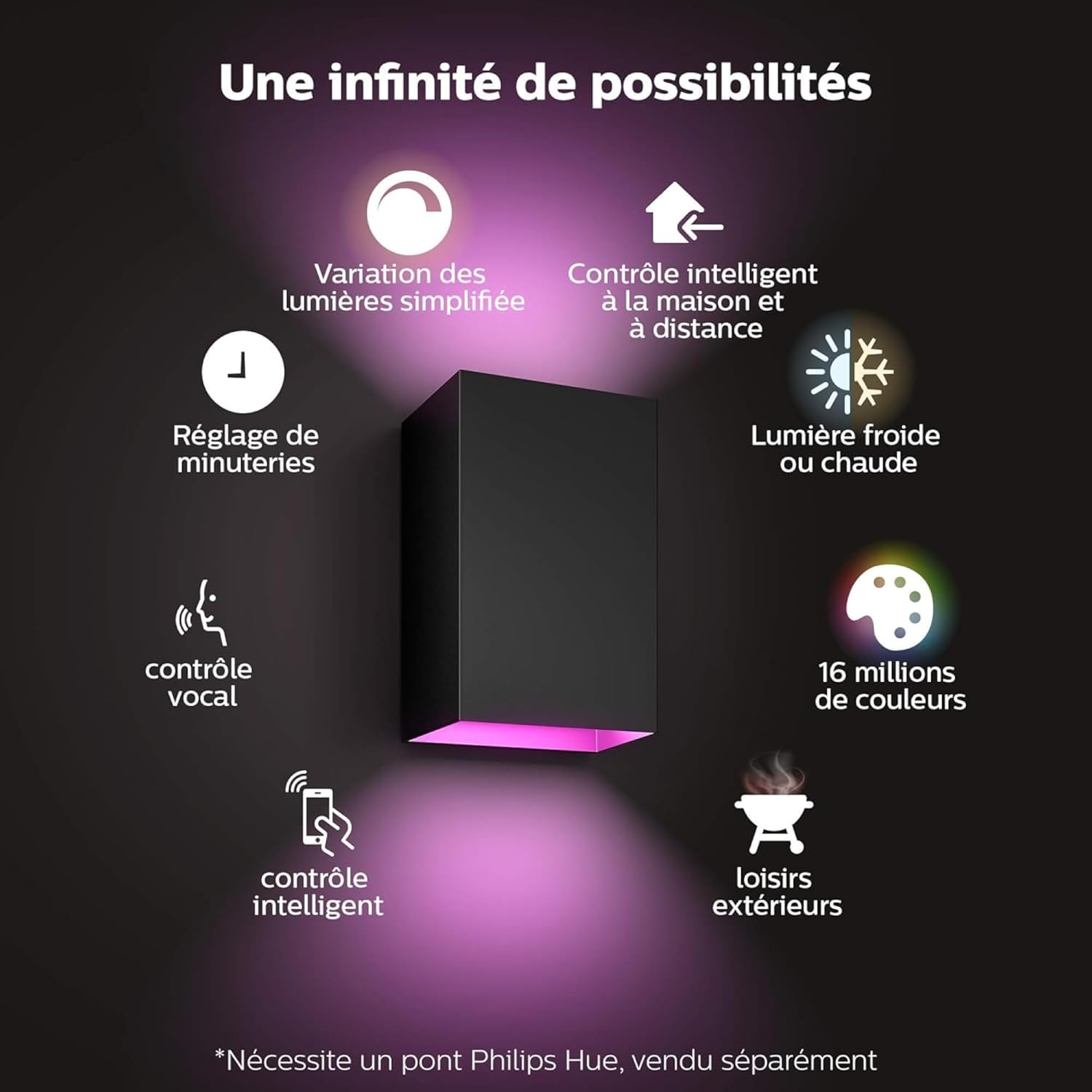 White & Color ambiance RESONATE, Applique murale extérieure noire, Luminaire Philips compatible avec Alexa, Google Assistant et Apple Homekit Eclairage haut et bas Noir