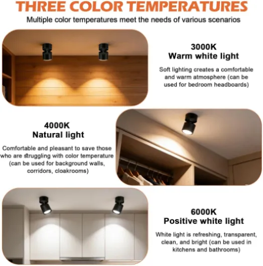 71MCXA 0MsL._AC_SL1500_