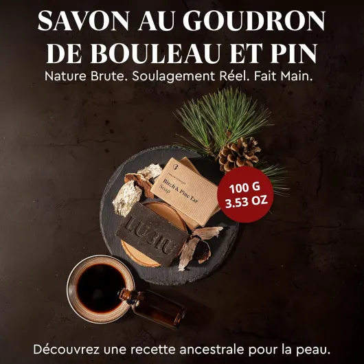 Savon de Goudron Bouleau et Pin 100g - Artisanal Savon Solide Corps et Cheveux - Assainissant & Apaisant - Naturel Gel Douche Solide pour Homme - Cadeaux Homme Savonnette Goudron et pin 100 g (Lot de 1)