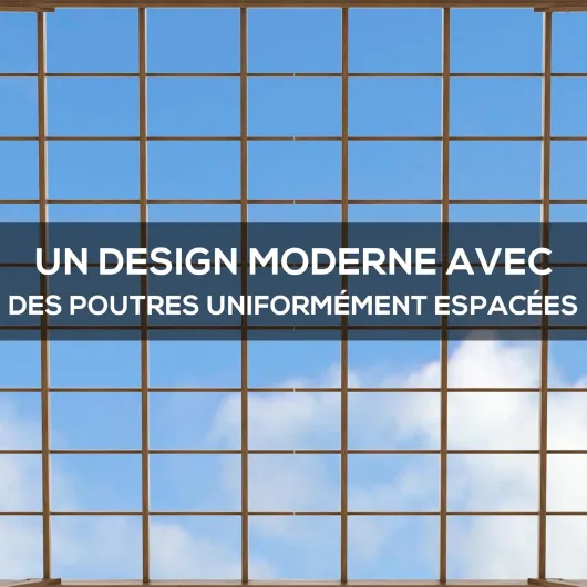 71TDUXtGBeL._AC_SL1500_