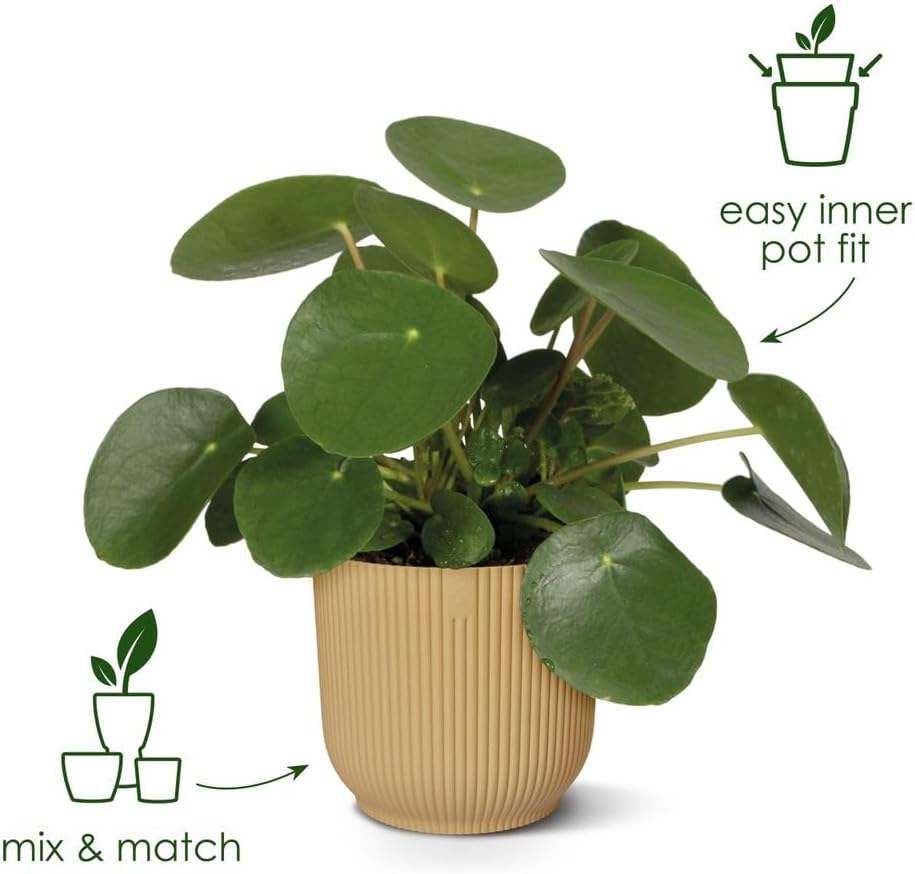 Vibes Fold Rond 40 - Pot de Fleurs pour Intérieur - Plastique 100% Recyclé - Ø 39 x H 36.2 - Blanc/Linen White 40 cm Linen White