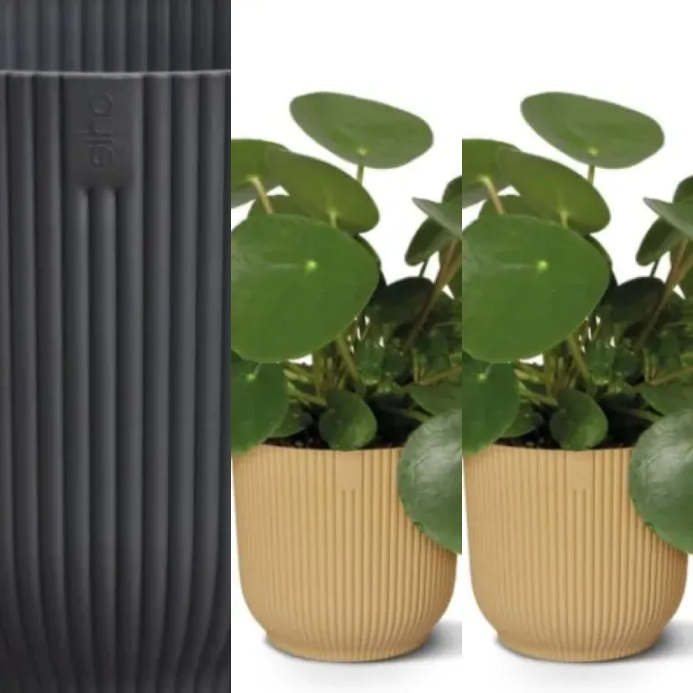 Les 5 meilleurs pots en plastique recyclé (2026)