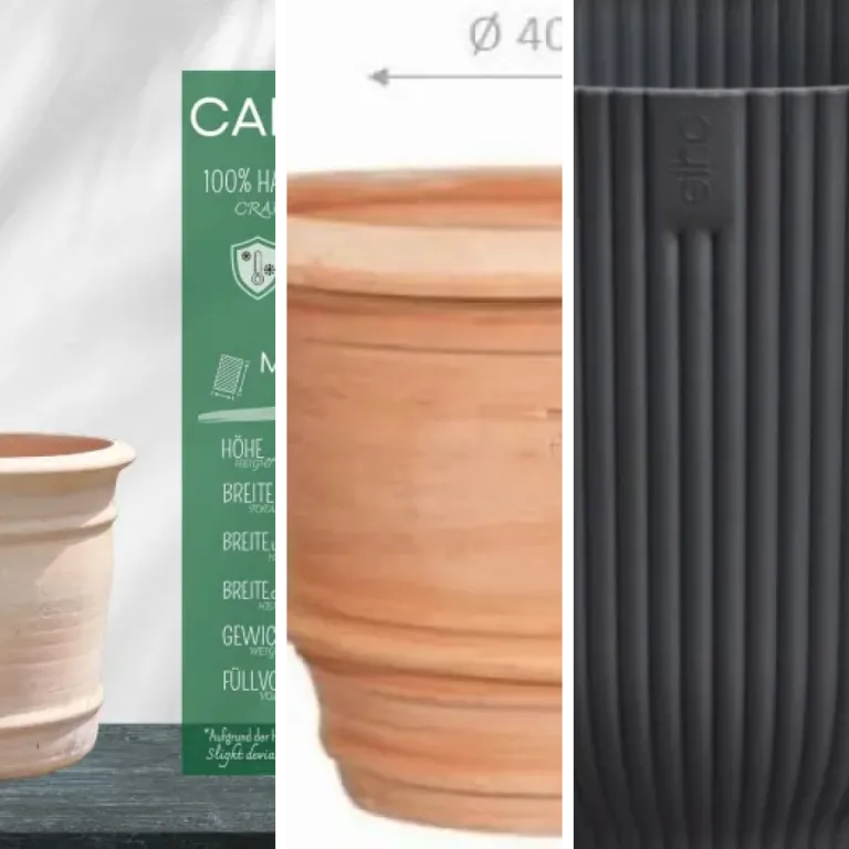 Classement des 7 meilleurs pots d'intérieur/extérieur (2026)